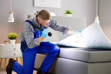 Bed Bugs Control Boronia