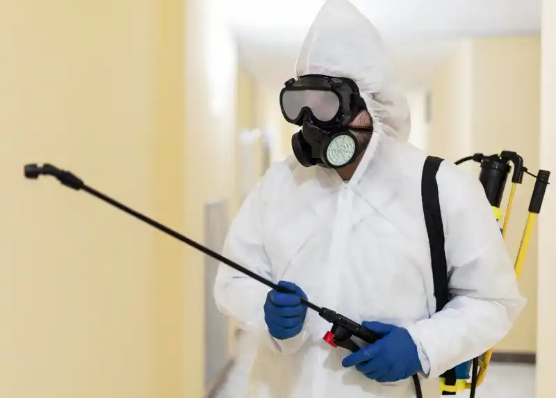 Pest Control Boronia